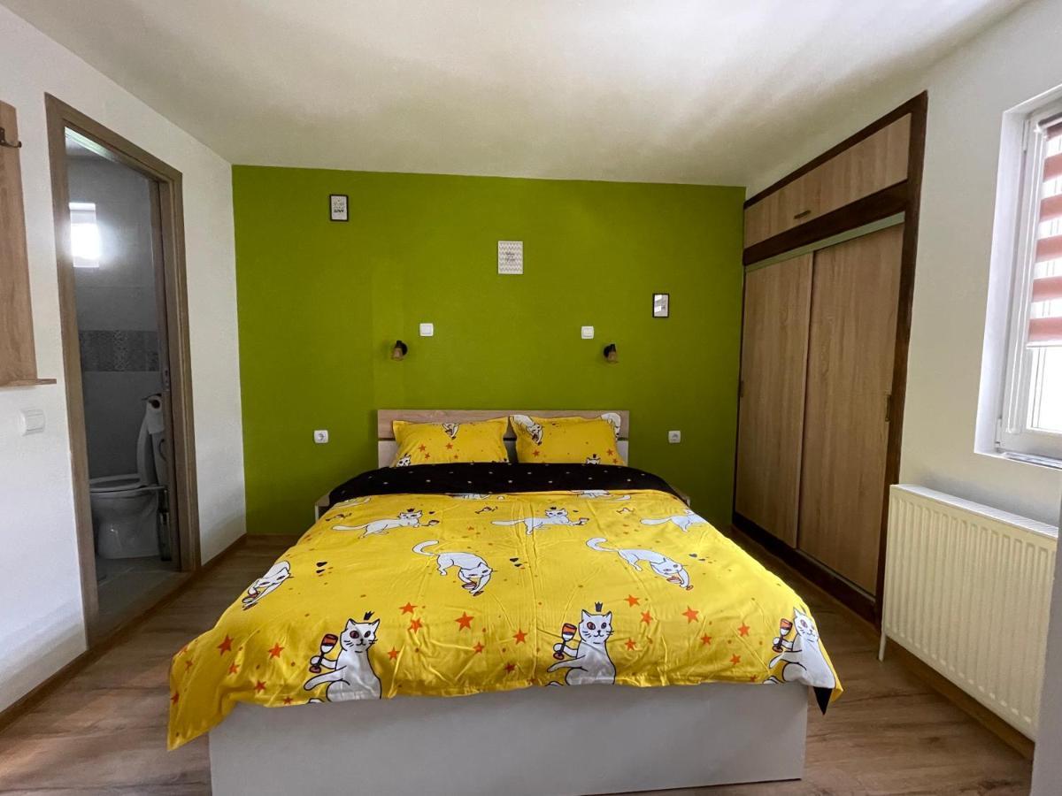 Casa Shiro Hotel Sinaia Bagian luar foto