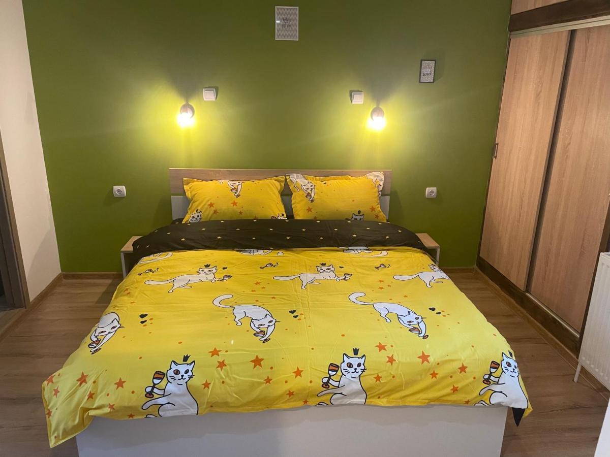 Casa Shiro Hotel Sinaia Bagian luar foto