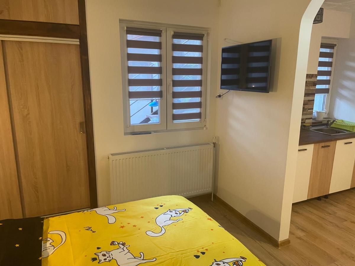 Casa Shiro Hotel Sinaia Bagian luar foto
